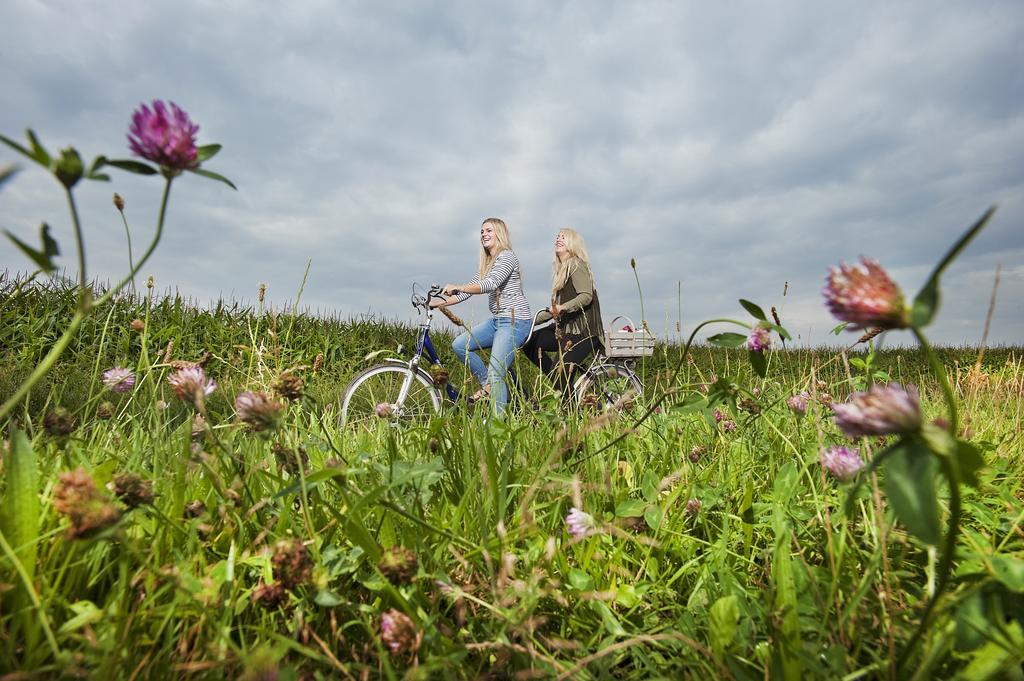 Hotel Wesseling Dwingeloo Exteriör bild